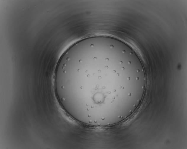 X0000091710814200708240955