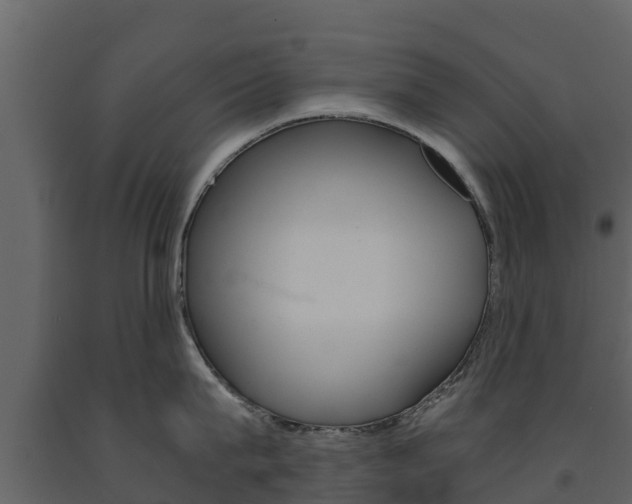 X0000091710815200708240955