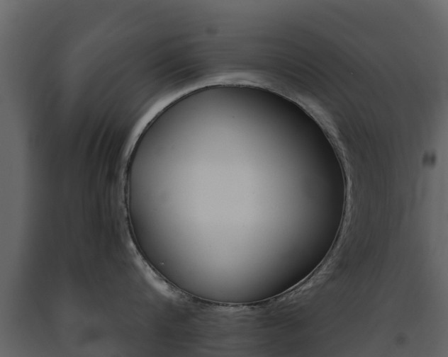 X0000091710816200708240955