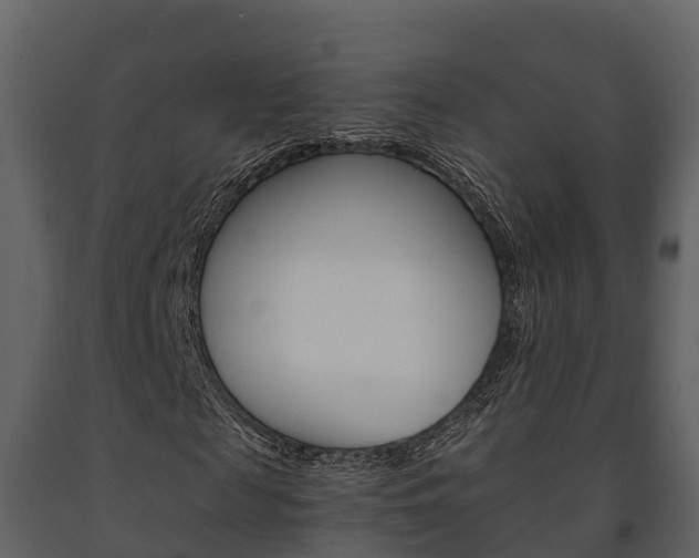 X0000091710817200708240954