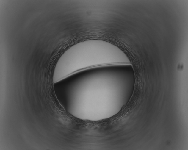 X0000091710818200708240954