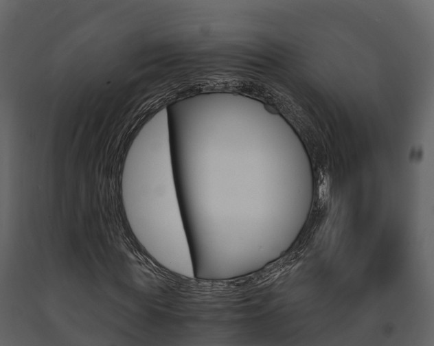 X0000091710819200708240954
