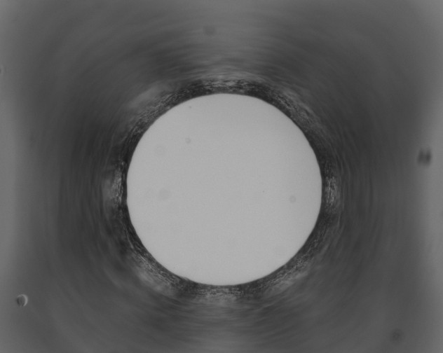 X0000091710820200708240954