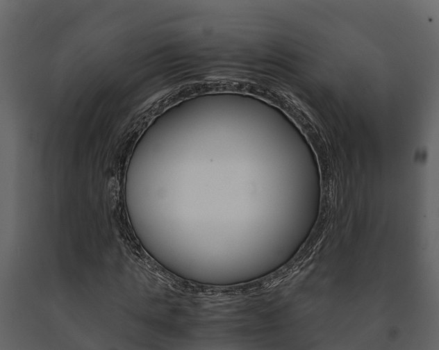 X0000091710821200708240954
