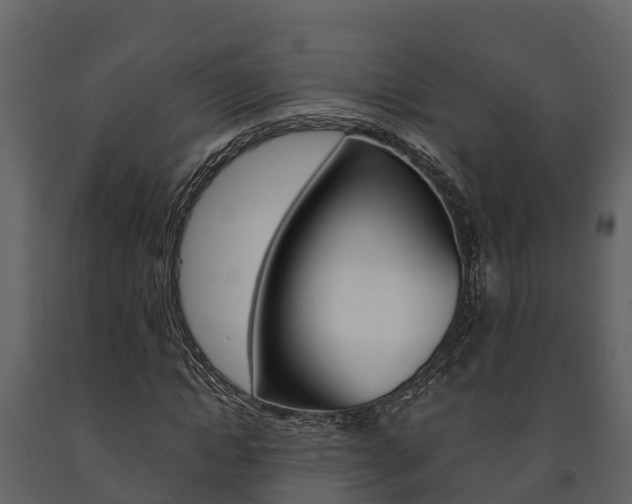 X0000091710822200708240954