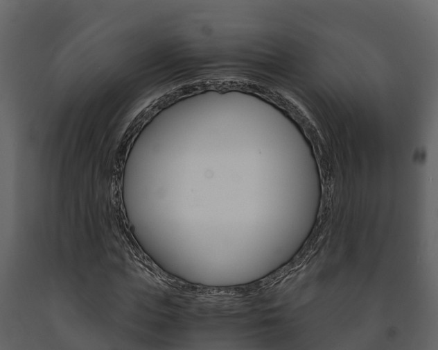 X0000091710823200708240954