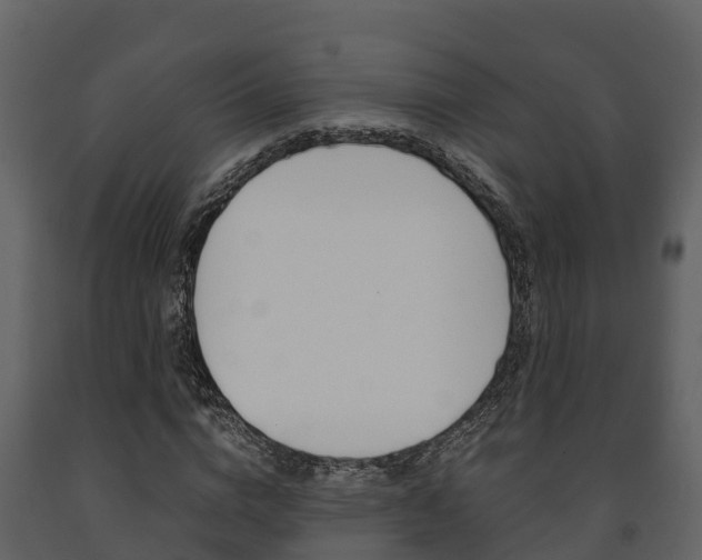 X0000091710824200708240954