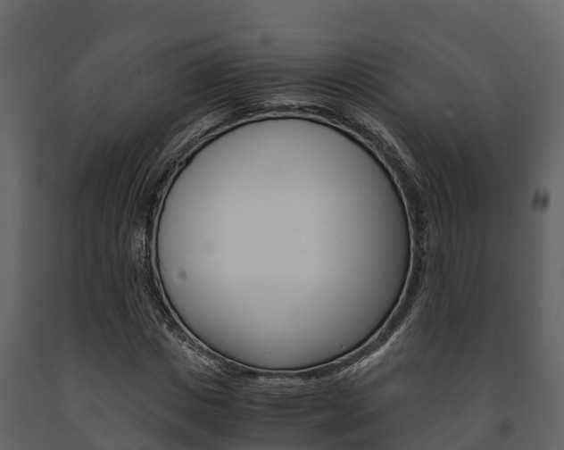 X0000091710825200708240954
