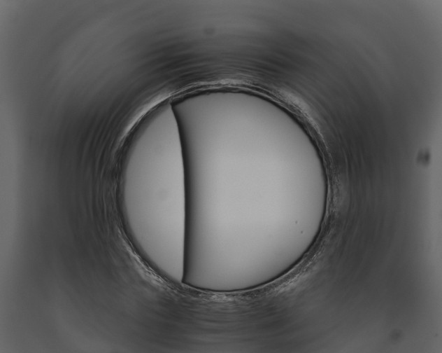 X0000091710827200708240954