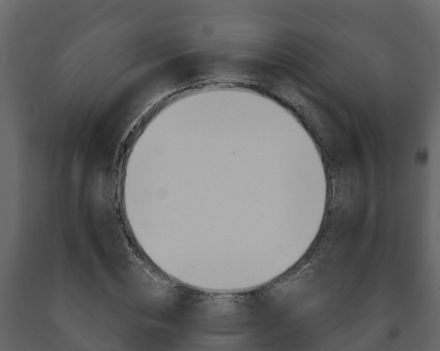 X0000091710828200708240954