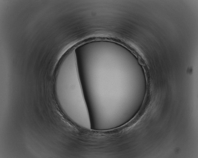X0000091710829200708240954