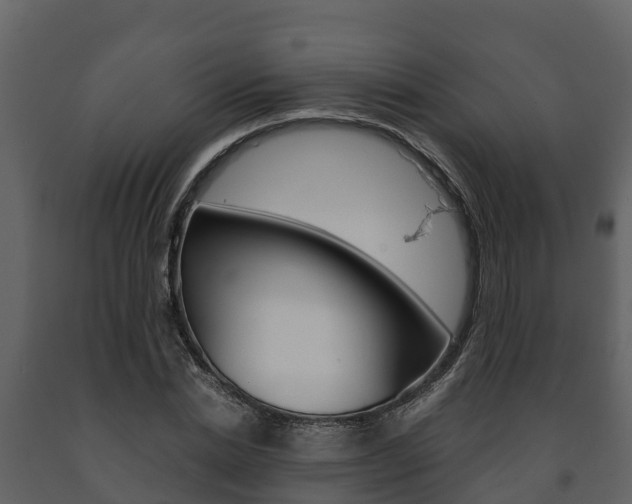 X0000091710830200708240954