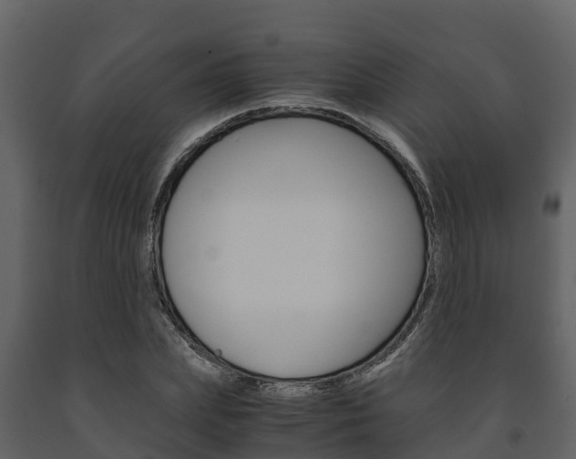 X0000091710831200708240954