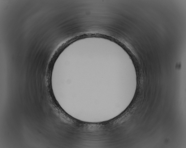 X0000091710832200708240954