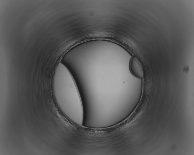 X0000091710833200708240954