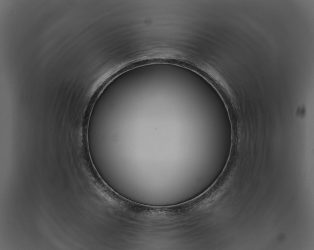 X0000091710834200708240954