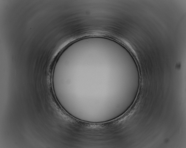 X0000091710835200708240954