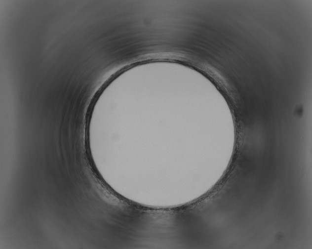 X0000091710836200708240954