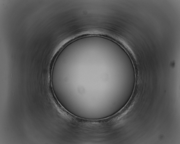 X0000091710837200708240954