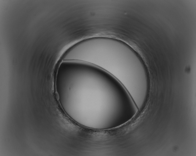 X0000091710838200708240954