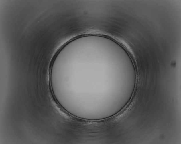 X0000091710839200708240954