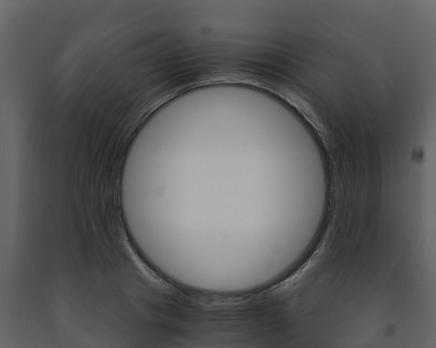 X0000091710841200708240954