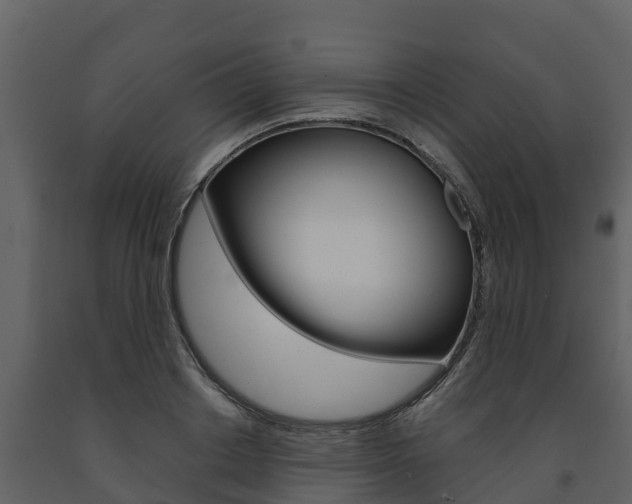 X0000091710842200708240954