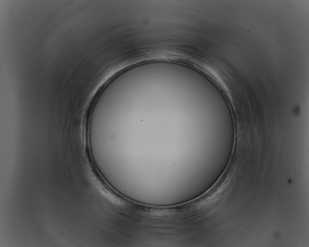 X0000091710843200708240954