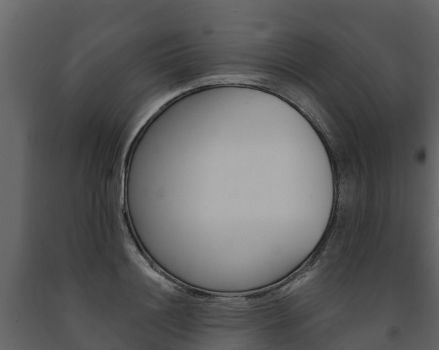 X0000091710844200708240954