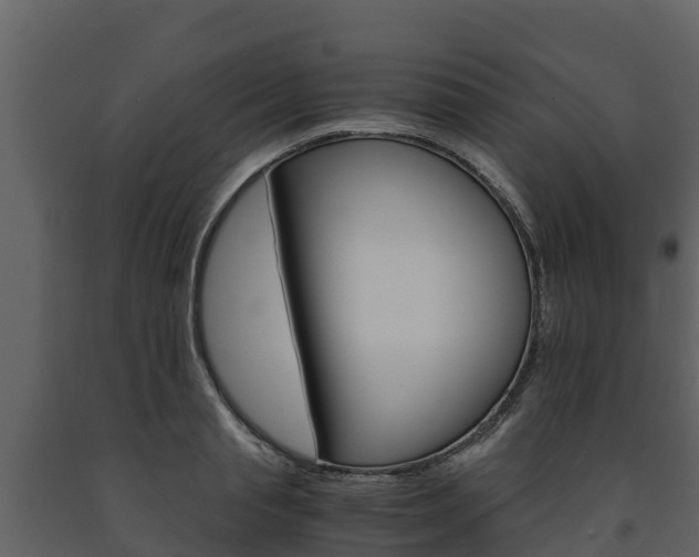 X0000091710845200708240954