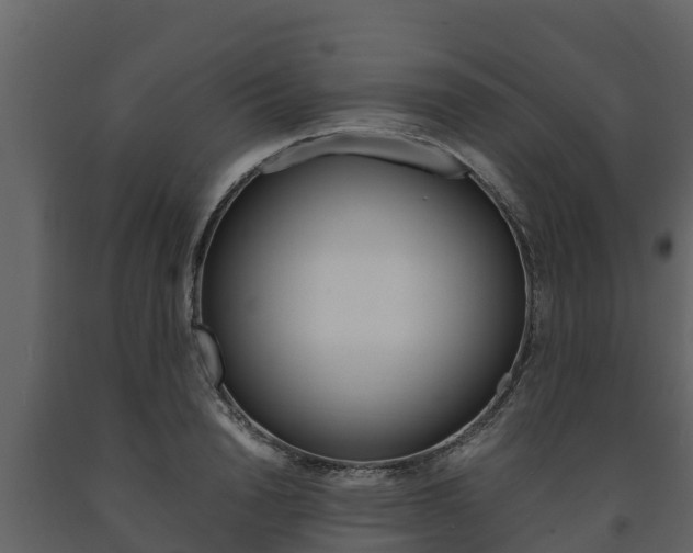 X0000091710846200708240955