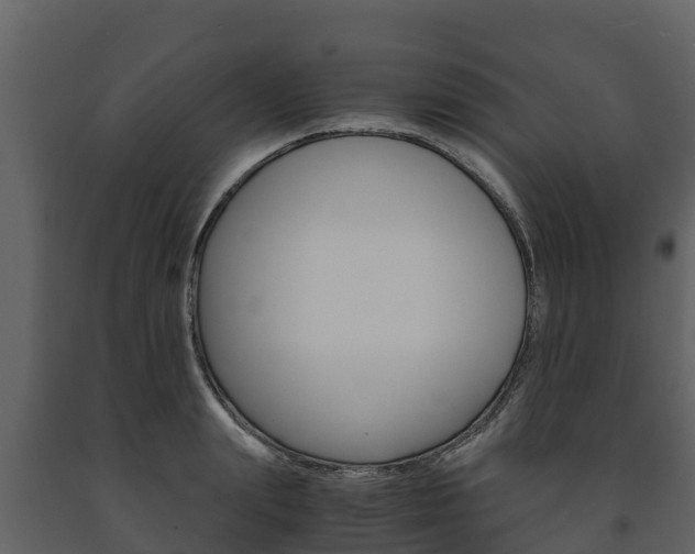 X0000091710847200708240955