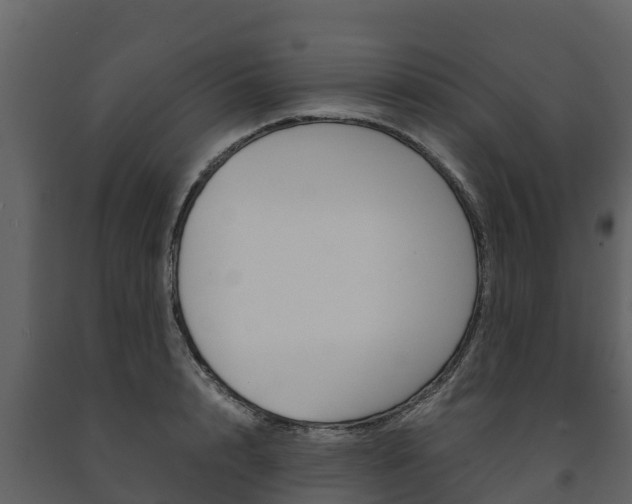 X0000091710848200708240955