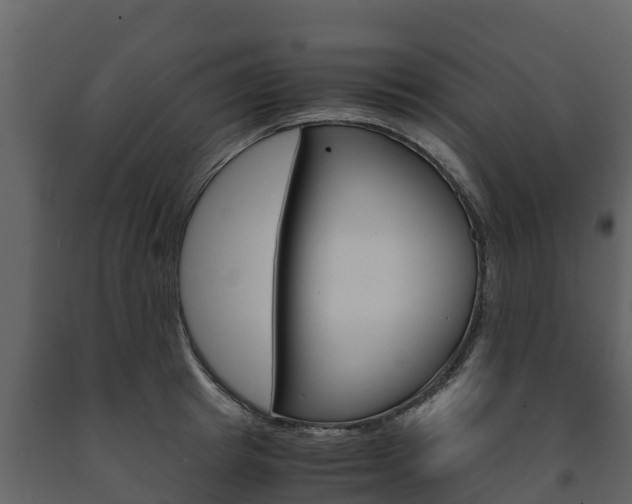 X0000091710849200708240955