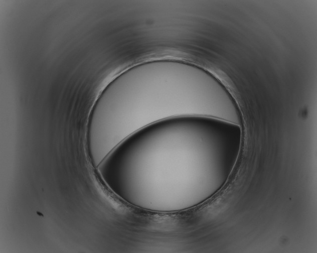 X0000091710850200708240955