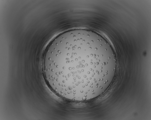 X0000091710851200708240955