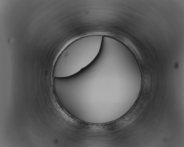 X0000091710852200708240955