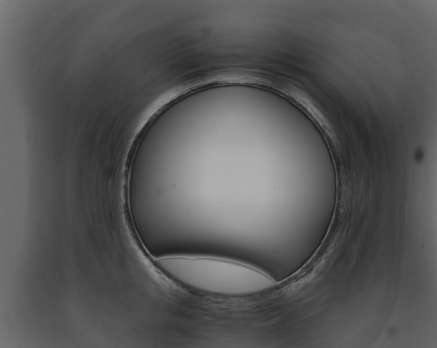 X0000091710853200708240955