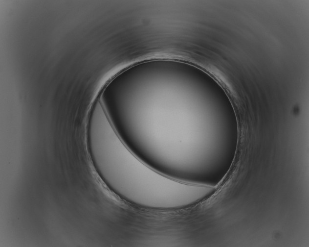 X0000091710854200708240955