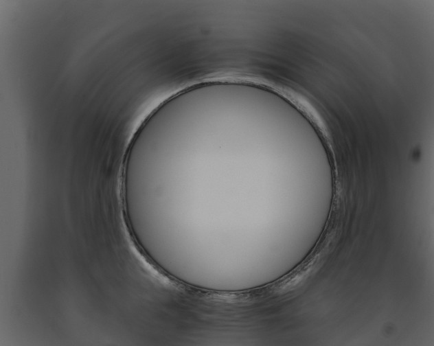 X0000091710855200708240955