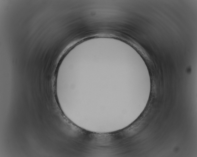 X0000091710856200708240955