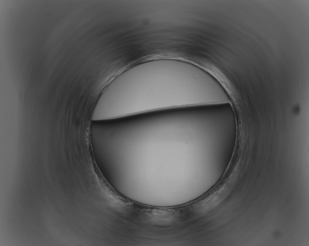 X0000091710857200708240955