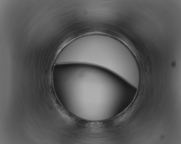 X0000091710858200708240955