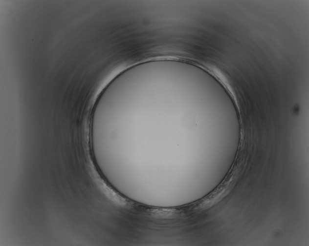 X0000091710859200708240955