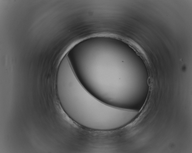 X0000091710860200708240955
