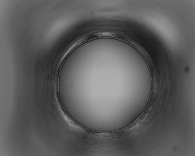 X0000091710861200708240955
