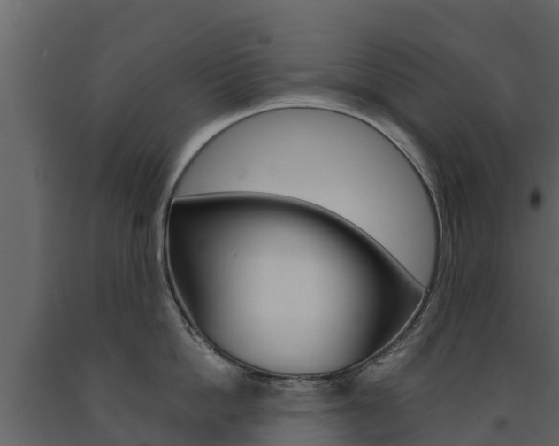 X0000091710862200708240955
