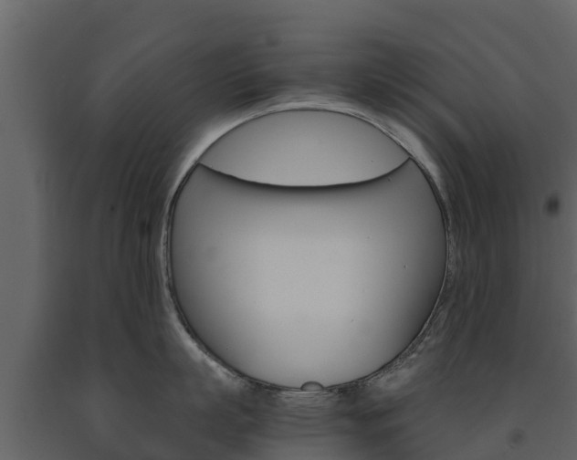 X0000091710863200708240955