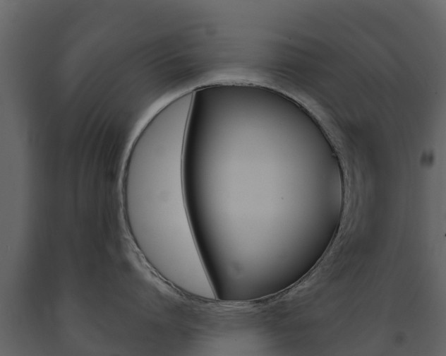 X0000091710864200708240955