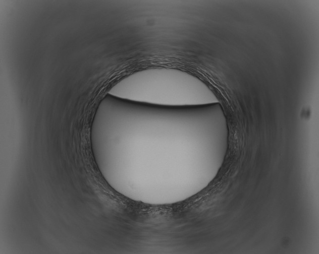 X0000091710865200708240954
